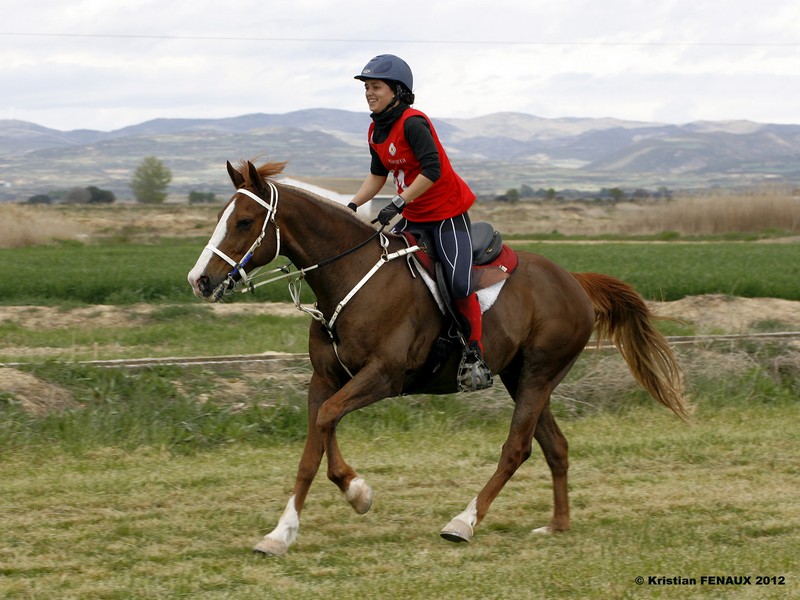 Éxito del Raid Navarro en el CEI** 120 Kms. Copa Interautonomías 2012 Figarol-Bardenas Reales de Navarra. Medallas de Oro y Bronce individual y Plata por equipos.